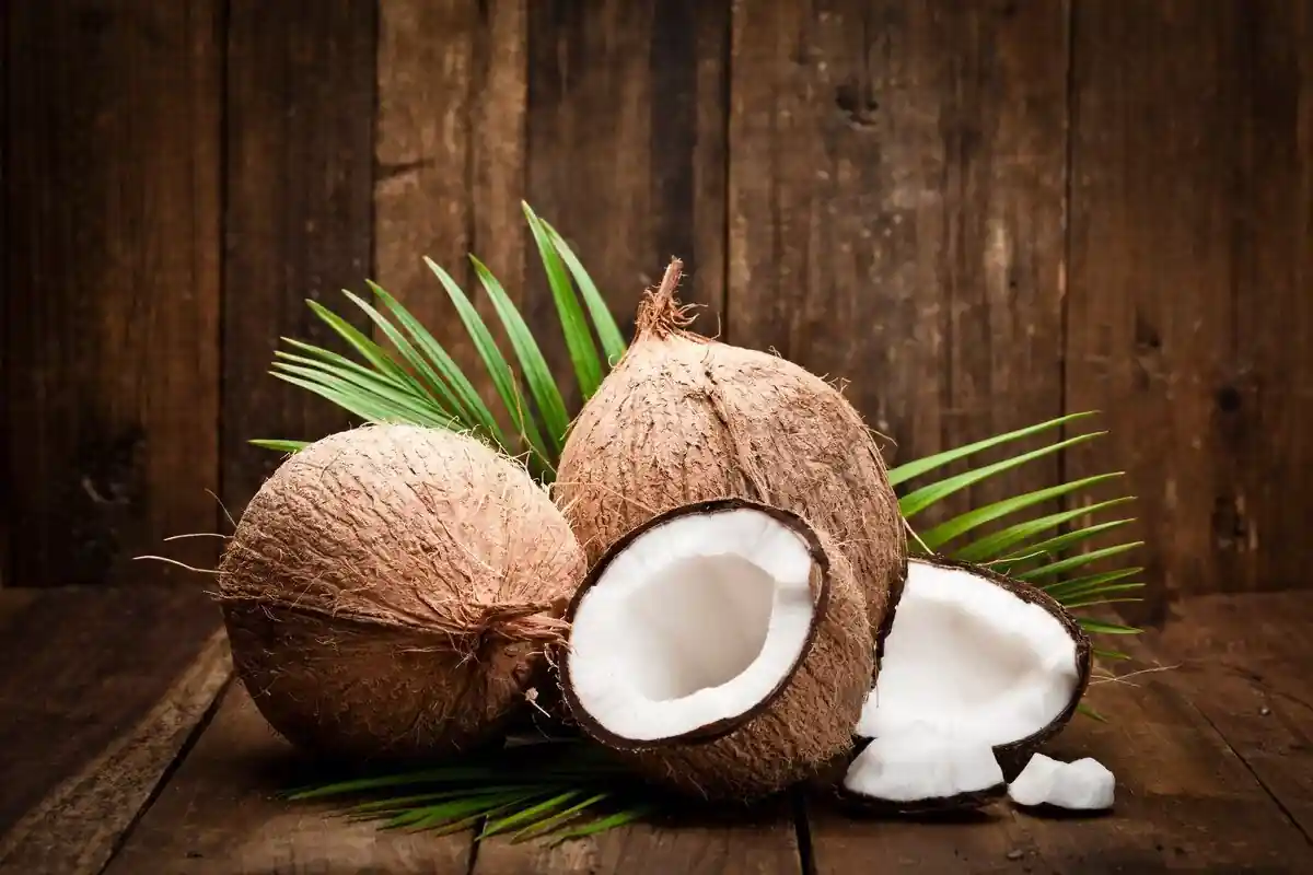 Coconut